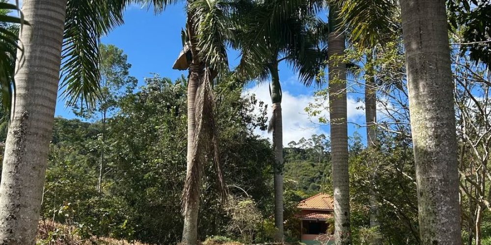 Imagem do WhatsApp de 2025-05-13 à(s) 13.40.01_521e6941
