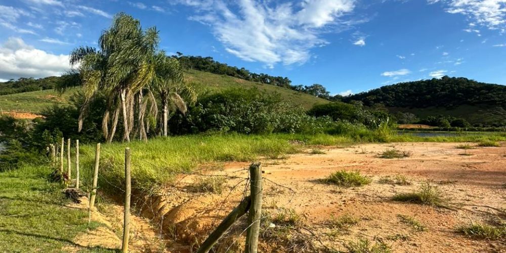 WhatsApp Image 2024-02-01 at 16.39.29 (2)